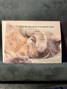 Thinking of You Greeting Card Cat Kitty Lover Hello Lovely Kitten - Picture 1 of 2