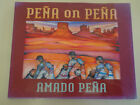 Pena on Pena ? Amado Pena HBDJ 1995 Prints Watercolors Etchings Native American