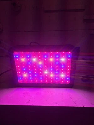 2000 Watt Full Spectrum LED Grow Light - Image 1 of 4