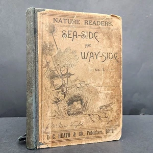 1896 Nature Readers Sea-Side and Way-Side no 3 Julia McNair Wright - Foto 1 di 15