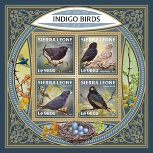 [650 31]- YEAR 2017 - SIERRA LEONE - INDIGO BIRD        4V   complet set  MNH/** - Picture 1 of 1