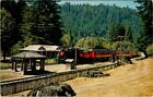 RAILROADS, "The Super Skunk" Train, FORT BRAGG - WILLITS, California Postcard