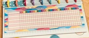 Inserto de tablero mensual de seguimiento de hábitos para usar con Skinny Classic HP~ - Imagen 1 de 4