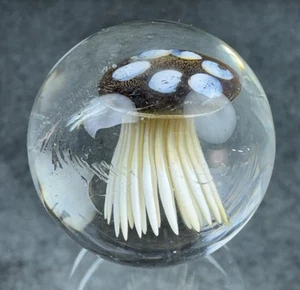 Handwerkliche handgefertigte Marmor - Quallen, Ocean Life Creation - Boro Glas Schönheit -! - Bild 1 von 8