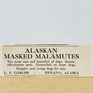 Lester Corliss Alaskan Malamutes Masked 1934 PRINT AD Nenana Alaska Rare - Bild 1 von 2
