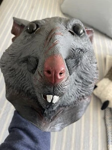 Complete Teenage Mutant Ninja Turtle SPLINTER Halloween Costume - Picture 1 of 7