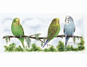 Calcomanía de cerámica para tobogán acuático envolvente envolvente para periquito periquito 7,5 X 3" - Imagen 1 de 1