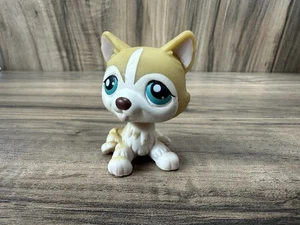 Littlest Pet Shop Authentic # 386 goldbraun weiß husky türkisfarbene Augen - Bild 1 von 8