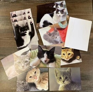 11 Assorted Greeting Cards - CAT Photographs Birthday, Get Well Thanks AN-01 - Picture 1 of 6