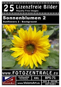 25 Lizenzfreie Profi-Bilder/Fotos! Sonnenblumen (Royalty Free) Photoshop 350 MB - Bild 1 von 2