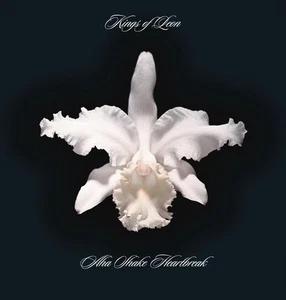 Kings of Leon Aha Shake Heartbreak (Vinyl) - Picture 1 of 1