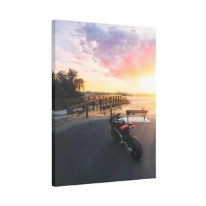 Aprilia RSV4 1100 Factory High Resolution Museum Quality Vertical Motorcycle Can - Picture 1 of 10