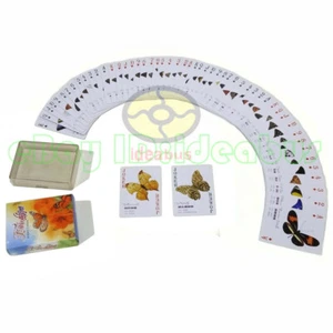 Collectible Playing card/Poker Deck 54 cards of insect - THE BEAUTIFUL BUTTERFLY - Picture 1 of 6