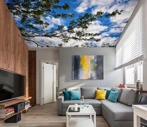 3D Cool Sky G4334 Ceiling WallPaper Murals Wall Print Decal Deco Erin 2023 - Picture 1 of 5