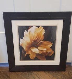Charles Britt Timeless Grace I 18x18 gerahmter Druck Sepia Magnolia - Bild 1 von 1