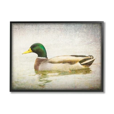 Peaceful Mallard Bird Swimming in Water Detailed Nature Art by Daniel Sproul - Image 1 of 4