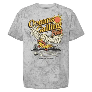 Oceans Calling Festival 2025 Seagull Lineup 3D Shirt Remake - Picture 1 of 3