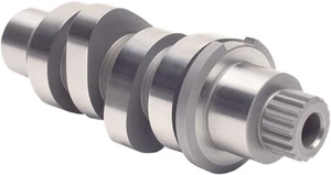 ANDREWS 217520 Albero a camme Harley Davidson FLRT 1868 ABS Freewheeler 114 1... - Foto 1 di 1