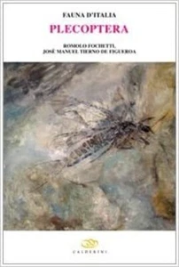 Romolo Fochetti, J Manuel Tierno de Figueroa PLECOPTERA Calderini 2008 - Bild 1 von 1