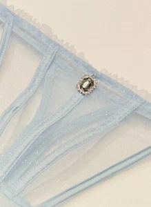 Victoria's Secret Dream Angels Tanga Brillo Tul Panty Estrás Malla Azul XL - Imagen 1 de 4