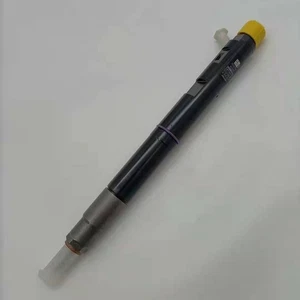 Diesel fuel injector assembly for Great Wall Cannon H5, Wingle 7, Wingle 5, Delp - Picture 1 of 1