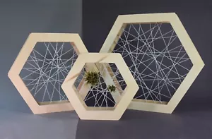 Air Plant Holder: Shelf Stand or Wall Hanging. Small wooden air plant frame. - Picture 1 of 15
