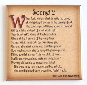 Sonnet 2 FRIDGE MAGNET (3 x 3 inches) William Shakespeare - Picture 1 of 3