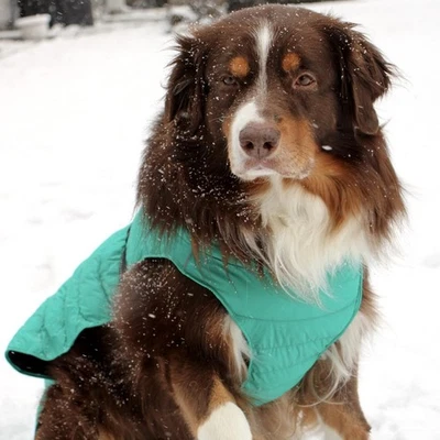 Doggie Design Alpine Puffer Coat - Extreme Cold, Waterproof, Leash Hole, Fleece - Image 1 of 4