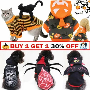 Halloween Costume Dog Cat Pet Spooky Party Spider Dress Sweater Outfit Jumpsuit - Picture 1 of 31