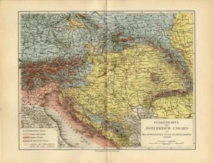 1896 KERNER CHROMO Österreich-Ungarn: Ostsee-, Pontische, Alpen- & Mittelmeerflora - Bild 1 von 2