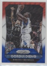 2015-16 Panini Prizm Red White & Blue Prizm Gorgui Dieng #214