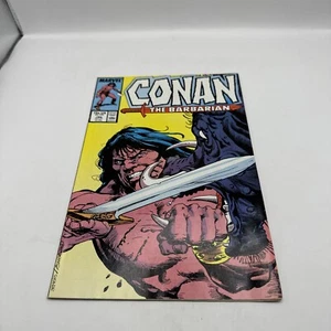Marvel Conan El Bárbaro #193 Con 1er M'Khail y Anneka 1987 Edad de Cobre - Imagen 1 de 2