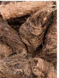 200g shirsh zallouh Root Dried Ferula hermonis Organic شرش الزلوع - Picture 1 of 1