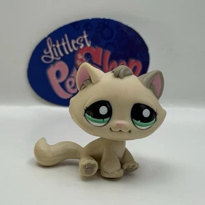 KITTEN CAT #2079 - Auténtico Littlest Pet Shop - Hasbro LPS - Imagen 1 de 4