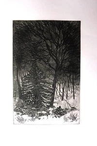 Radierung handsigniert original "Aus meinem Fenster" Friederike Michelsen Tanne - Bild 1 von 10