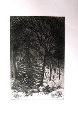 Radierung handsigniert original "Aus meinem Fenster" Friederike Michelsen Tanne - Bild 1 von 4