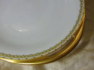 45 PIECE SET OF LIMOGES HAVILAND PORCELAIN DINNERWARE ALBANY PATTERN NOS - Picture 1 of 24