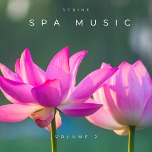 SERENITY SPA RELAXATION MUSIC CD v2 BEAUTY SALON SPA HOLISTIC THERAPIES MASSAGE - Picture 1 of 6