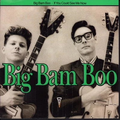 Big Bam Boo If You Could See Me Now 7" vinyl Germany MCA 1989 pic sleeve 2575247 - Bild 1 von 3