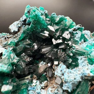 DIOPTASE - Reneville - Republic of Congo AX74 - Picture 1 of 7
