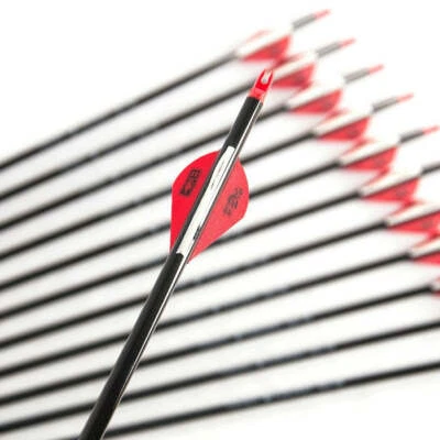 Topoint Carbon Arrows For Hunting - image 1 of 4