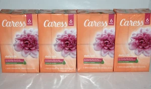 (24) CARESS DAILY SILK BAR SOAP FLORAL OIL ESSENCE 6-3.15 OZ EA TOTAL 24 BARS - Picture 1 of 1
