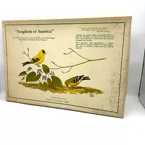 Juego de 5 manteles individuales vintage Chuck Ripper SongBird AmericaMark 1971 Bluebird Robin - Imagen 1 de 17