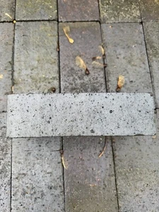 Staffordshire Blue Facing Bricks/pavers 215x102.5x65mm - Picture 1 of 3