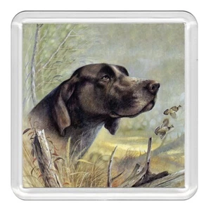 Deutscher Kurzhaariger Zeiger Hund Acryl Untersetzer Neuheit Getränketasse Matte tolles Geschenk - Bild 1 von 1