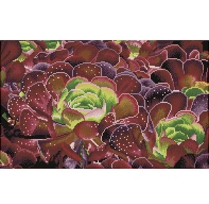 Diamond Dotz Quadrate • SUKKULENTEN • Diamond Facet Art Kit 12,6" x 20,47" DQ9008 - Bild 1 von 9