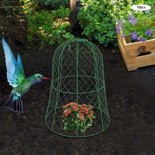10Pcs Garden Chicken Wire Cloche Plant Protective Covers Green w/40