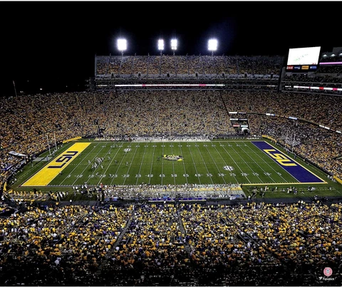 LSU Tigers Unsigned Tiger Stadium 20" x 24" Photo - Fanatics Cover