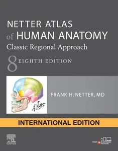 Netter Atlas of Human Anatomy: Classic Regional Approach | paperback + eBook - Bild 1 von 1