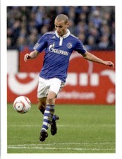 2011-12 FC Schalke 04 Panini Stickers #118 Peer Kluge